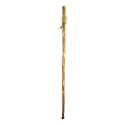 Free Form Walking Stick